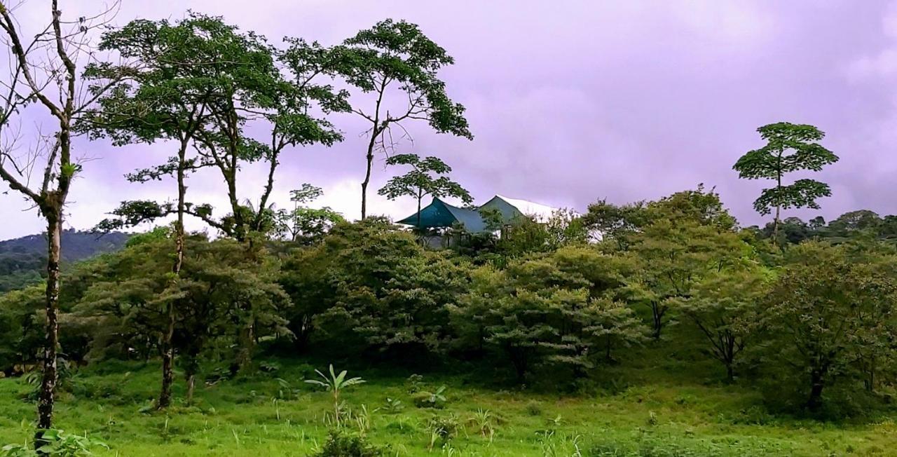 Garza Del Sol Glamping Rio Celeste Buganvilia Екстер'єр фото