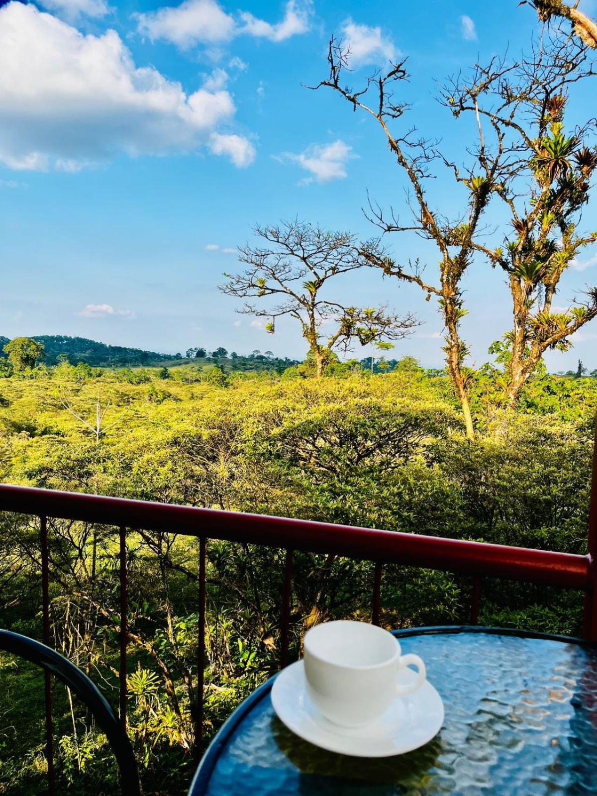 Garza Del Sol Glamping Rio Celeste Buganvilia Екстер'єр фото